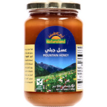 أرض الطبيعة عسل الجبل 500 جم