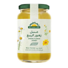 أرض الطبيعة عسل زهور الربيع 500 جم