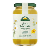 أرض الطبيعة عسل زهور الربيع 500 جم