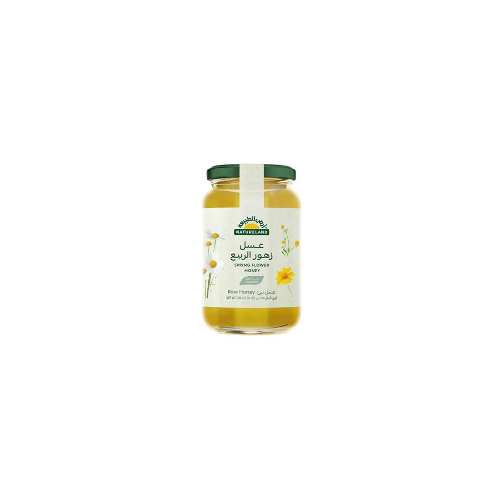 Natureland Spring Flowers Honey 500 gm