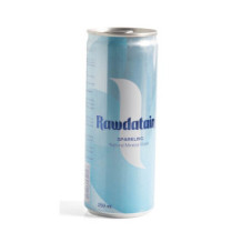 CARBONATED RAWDATAIN WATER 250 ML