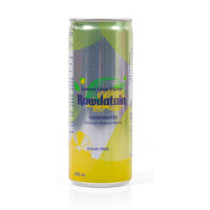 Rawdatain Lime & Lemon Flavor Carbonated Mineral Water 240Ml