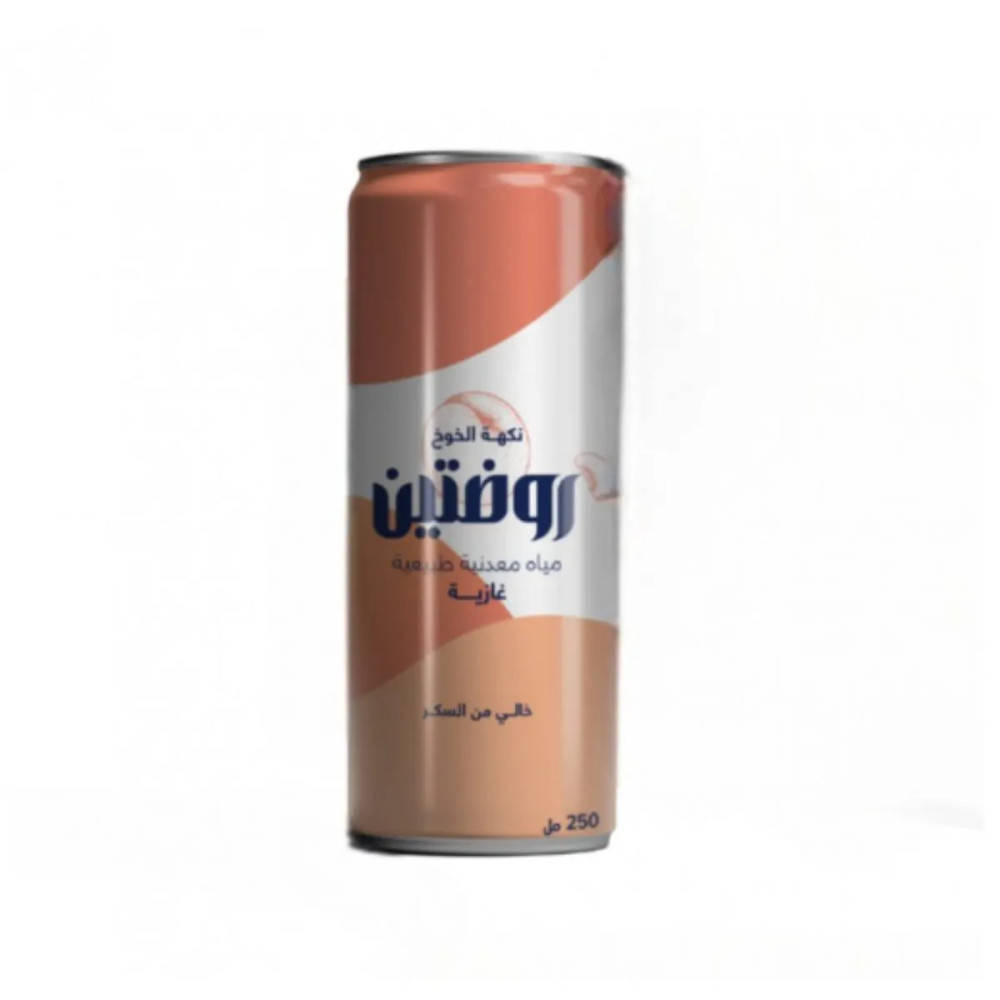 مياه معدنية غازية طبيعية من روضتين بنكهة الخوخ خالية من السكر ٢٥٠ مل
