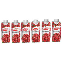 KDD, Cranberry Nectar, 6 250 ml