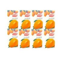 KDD, Mango Nectar Juice, 6 125 ml