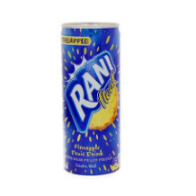 Rani, Pineapple Granules Syrup 240ml