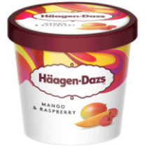 Hagen Daz Wild Berry Ice Cream 100 ml