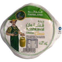 Farm Land Classic Cheese 400 gm
