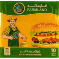Farm Land Cheese Sliced Burger Cooked