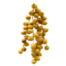Al Baraka Saudi Barhi Dates 1.500 kg