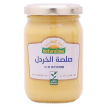أرض الطبيعة صلصة الخردل العضوية 210 مل