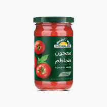 أرض الطبيعة معجون طماطم عضوي 90 غرام