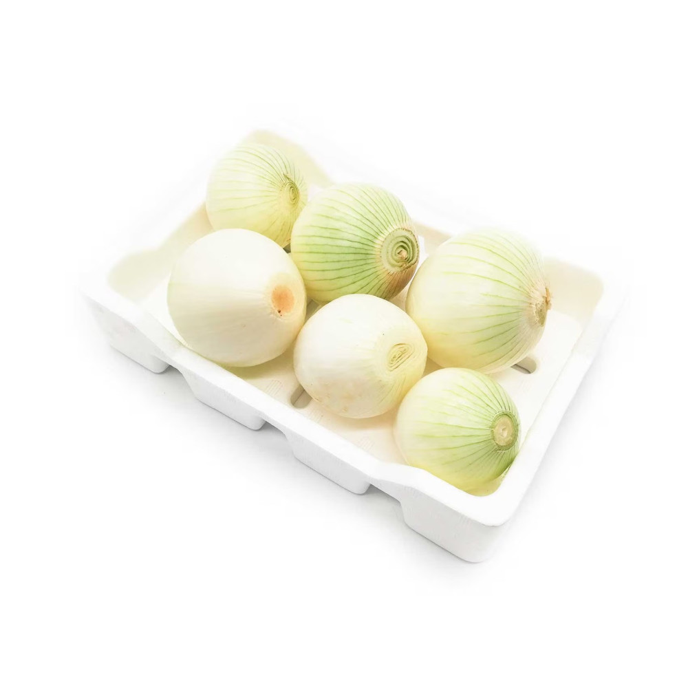 White Onion Spanish Box