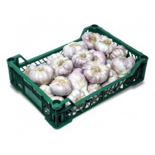 Garlic Egyptian basket