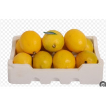 African Quarter Lemon