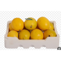 ليمون ربعي افريقي