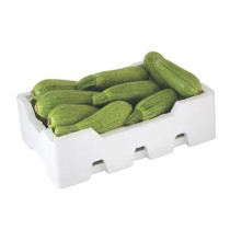 كوسا فلين وسط اردني