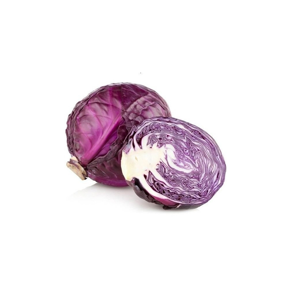 Red cabbage medium Box Saudi
