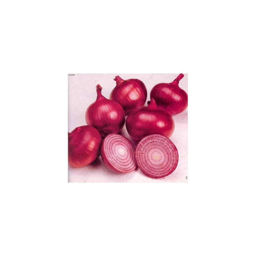 Egyptian red onion Per Kilo