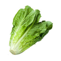 Arabic lettuce Per Kilo