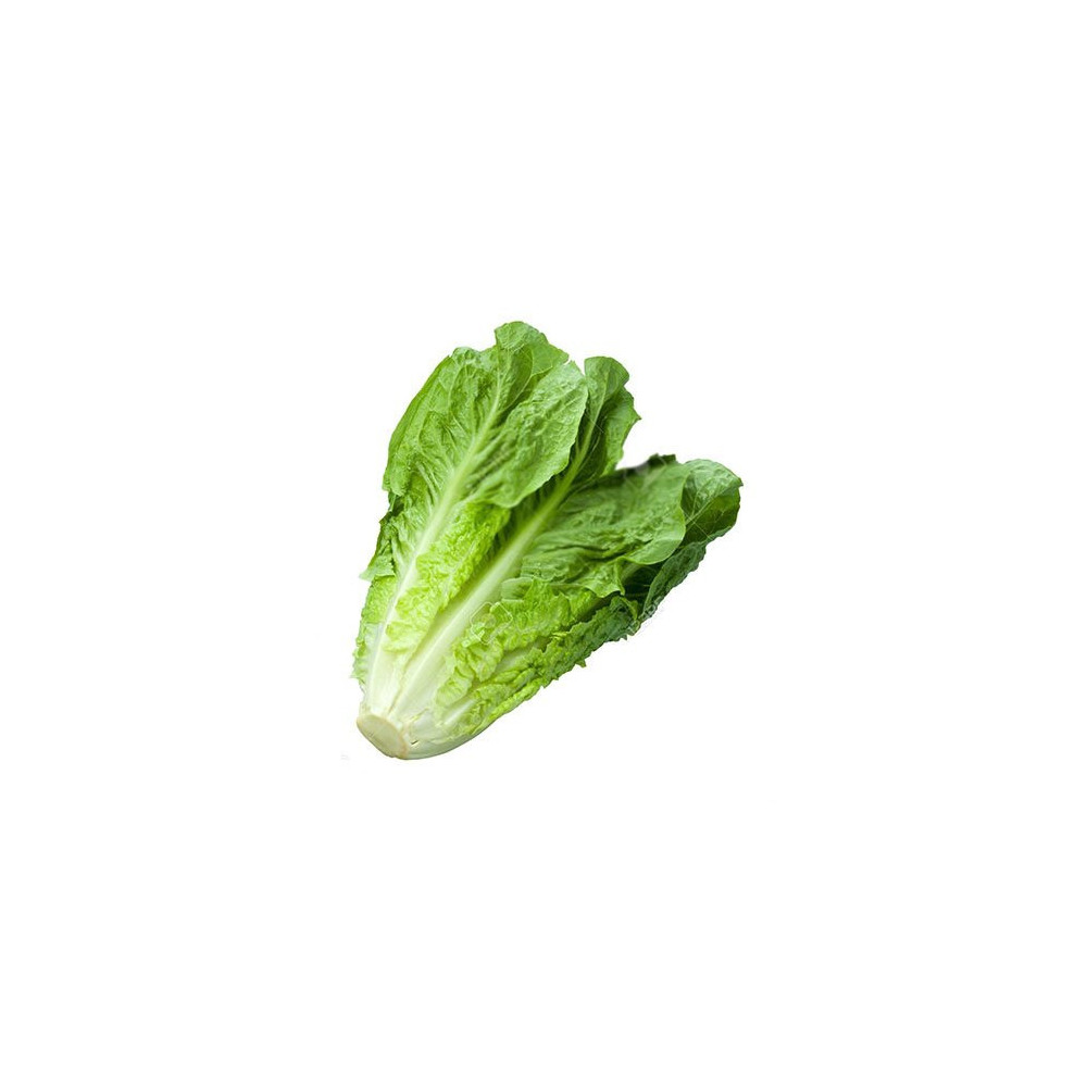 خس عربي كيلو