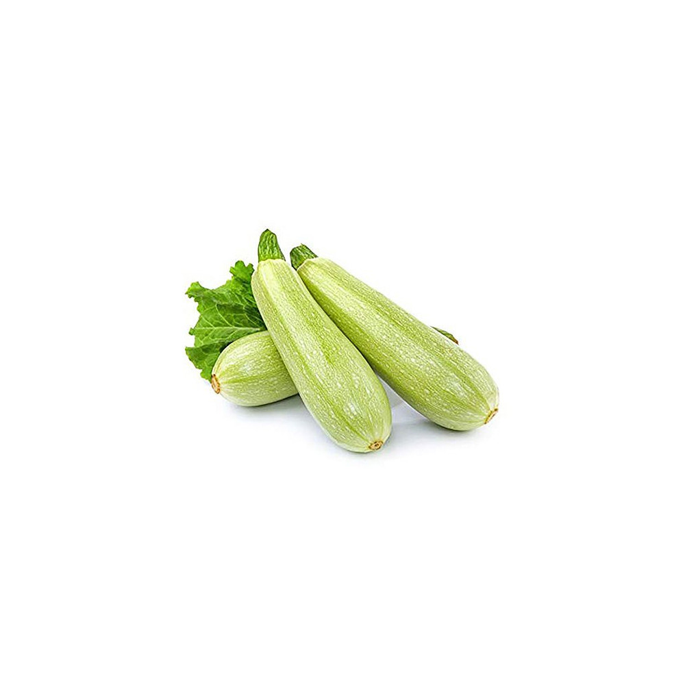 Zucchini Per Kilo