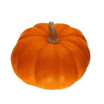 Indian Round Pumpkin Per Kilo