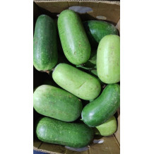 Indian Green Pumpkin