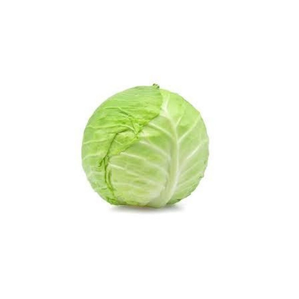 White cabbage Jordanian Per Kilo