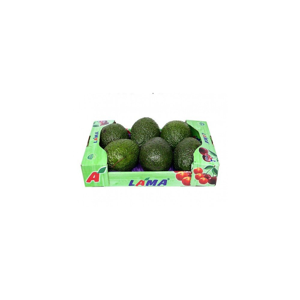 Avocado Cardboard Lebanese Reveal Lama
