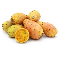 Prickly pear cardboard reveal to me