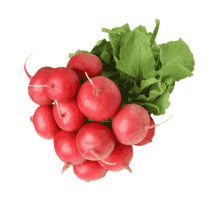 Red Radish Tie