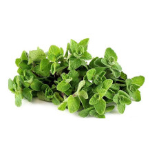 Thyme Tie