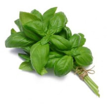 Kuwaiti Basil Tie
