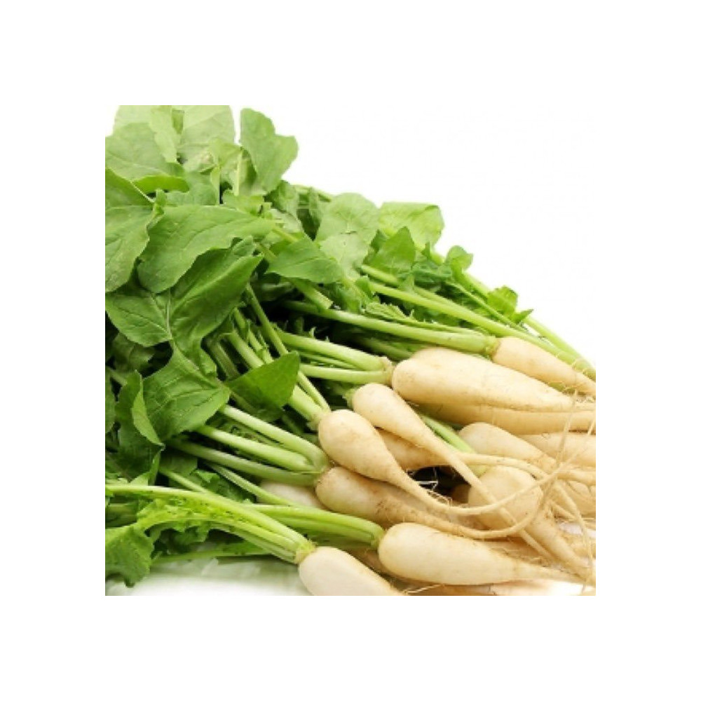 رويد
