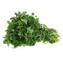 حلبه