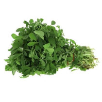 حلبه