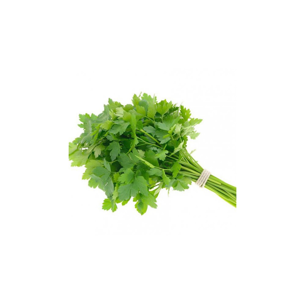 Kuwaiti parsley tie
