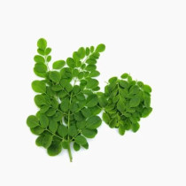 Moringa Tie