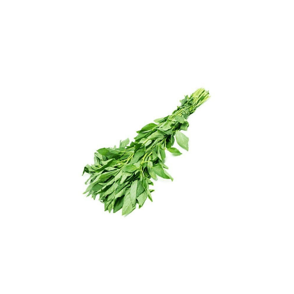 ملوخية ربطة