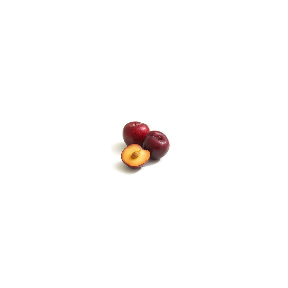 African Red Koja Per Kilo