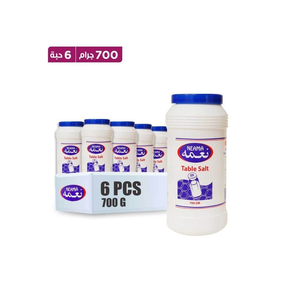 Salt Boxes of Batool 700g 6 Pieces Width