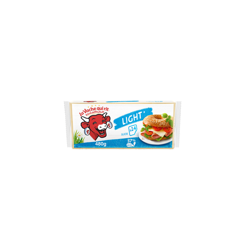 Lavshkeri Light Cheese Slices 480 g