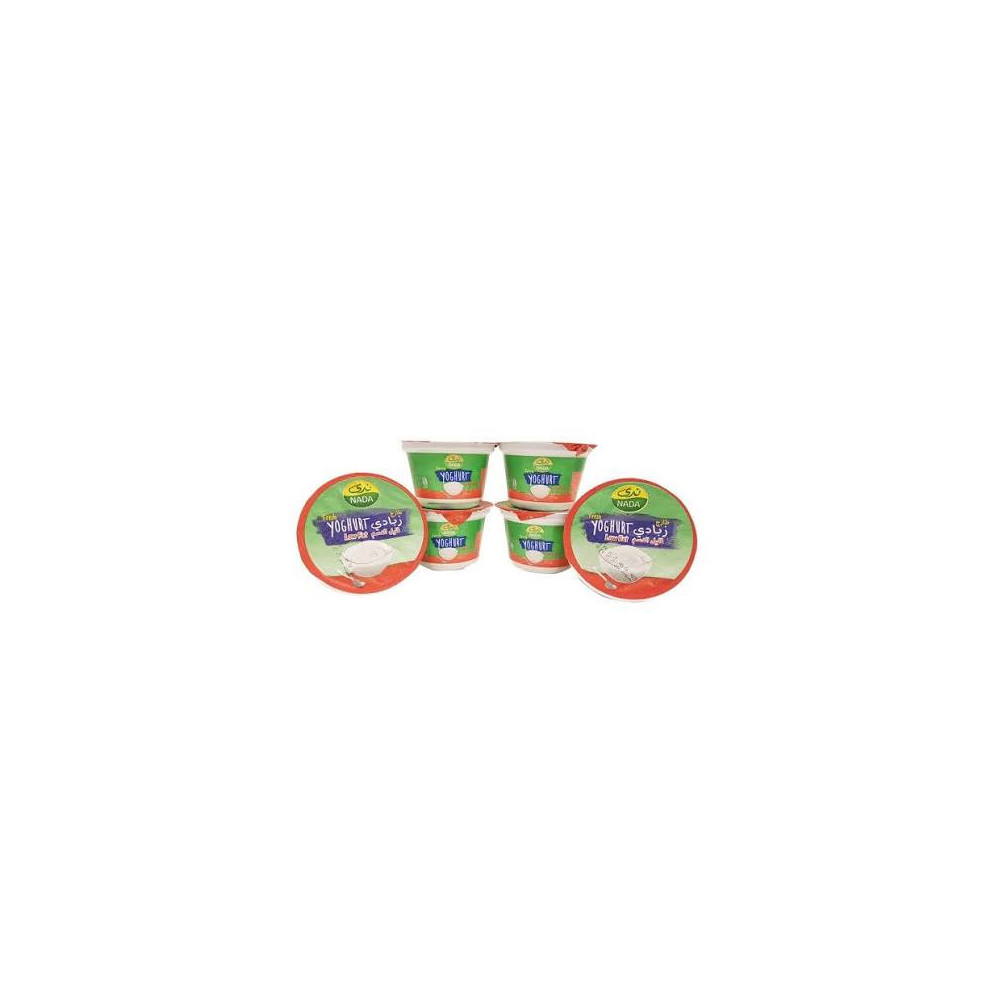 Nada Yogurt Low Fat 170 g 6 pieces