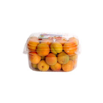 Apricot big Jordanian can
