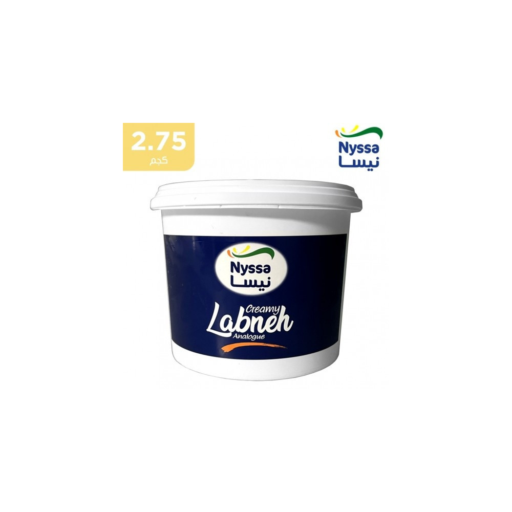 لبنة نيسا سطل 2.750 جم